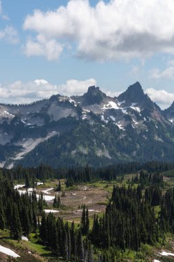 Dağ 'daki güzel dağ manzarası. Rainier Ulusal Parkı, Washington