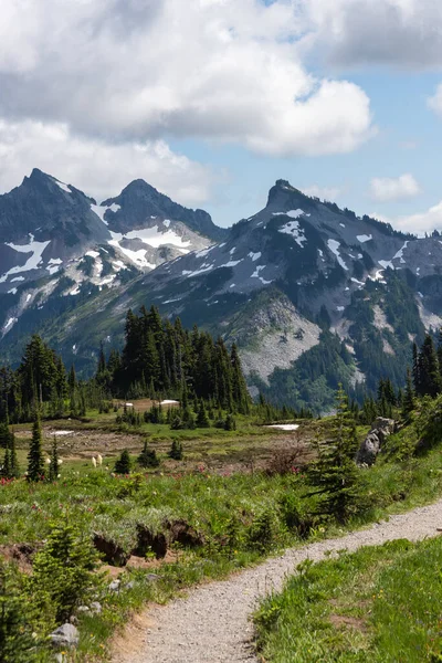 Beautiful Mountain Landscape Rainier National Park Washington — Stock Photo, Image