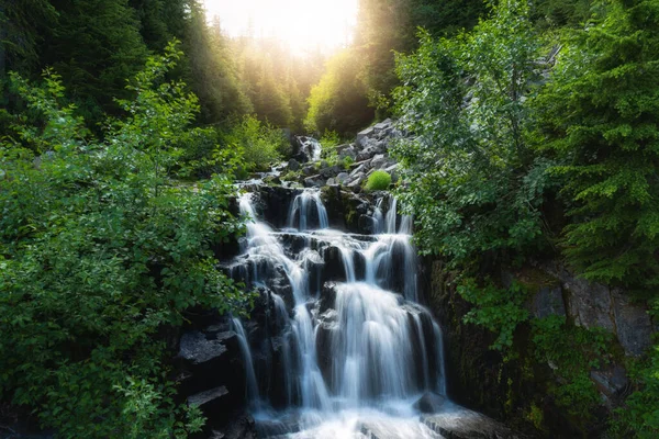 Волшебный Пышный Зеленый Лес Текучая Речная Вода — стоковое фото