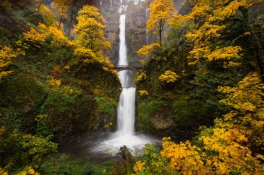 Multnomah Şelalesinde sonbahar, Oregon