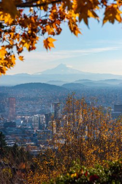 Fuji Dağı sonbahar mevsiminde Fuji, Japonya. 
