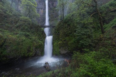 İlkbahar Multomah Şelalesi, Columbia Nehri Boğazı, Oregon