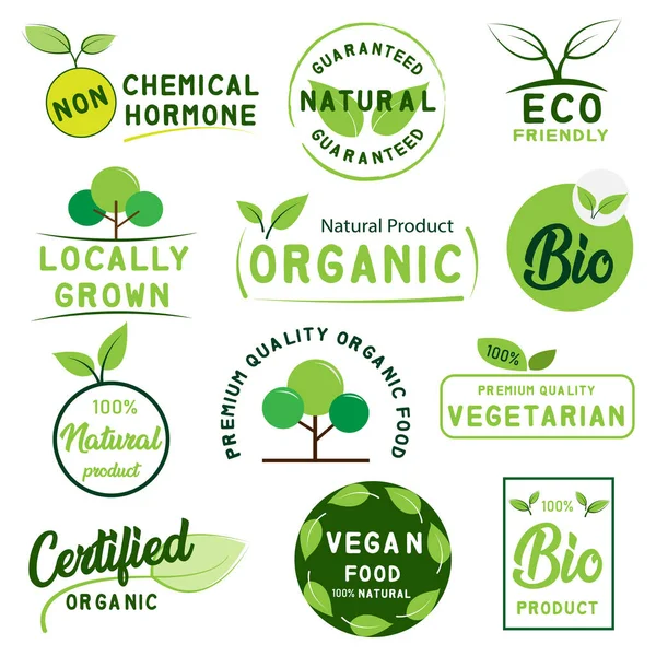 Conjunto Alimentos Orgánicos Producto Natural Logotipo Vida Saludable Pegatinas Insignias — Vector de stock