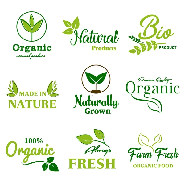 Alimentos Orgânicos Produto Natural Logotipo Vida Saudável Adesivos Crachás —  Vetores de Stock