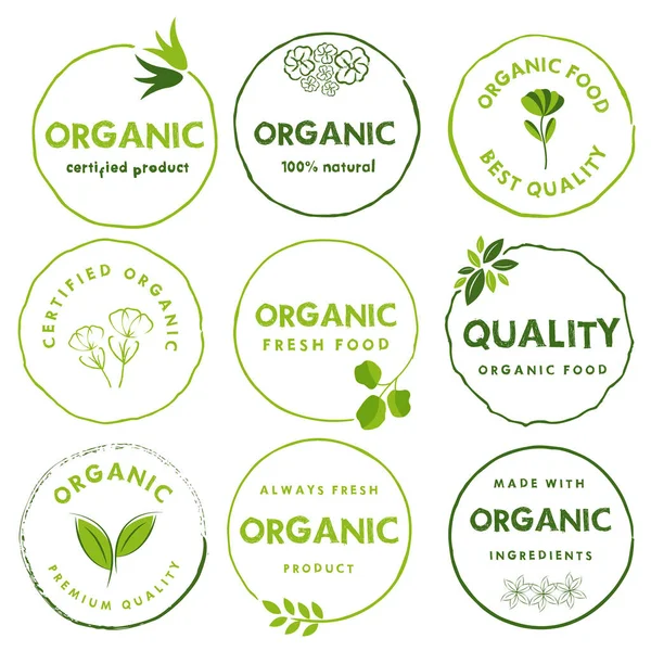 Recolección Alimentos Ecológicos Sin Gluten Productos Ecológicos Naturales Pegatinas Logotipo — Vector de stock