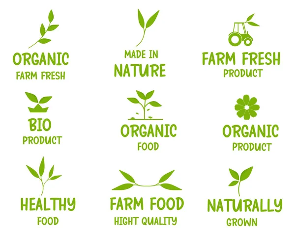 Healthy Life Organic Food Natural Food Organic Products Natural Products — Stock Vector