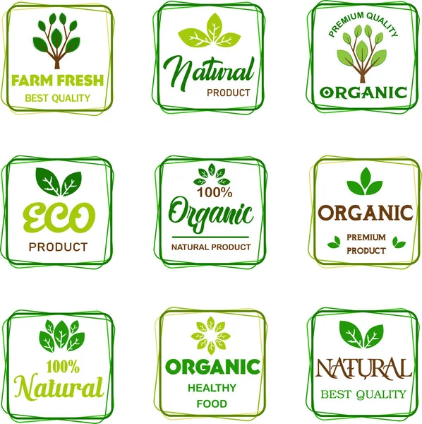 Alimentos Ecológicos Productos Naturales Carteles Frescos Granja Iconos Recogida Elementos — Vector de stock