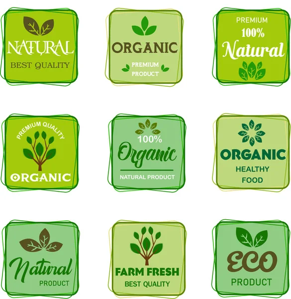 Vida Sana Alimentos Ecológicos Alimentos Naturales Productos Ecológicos Promoción Productos — Archivo Imágenes Vectoriales