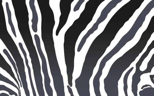 Motif Imprimé Zèbre Animal Seamless Zebra Peau Abstraite Pour Impression — Image vectorielle