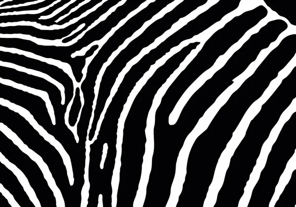 Zebramuster Tier Nahtlos Zebrahaut Abstrakt Zum Drucken Schneiden Und Mehr — Stockvektor