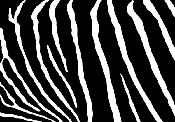 Vector Zebra Print Muster Tier Nahtlos Zebrahaut Abstrakt Zum Drucken — Stockvektor