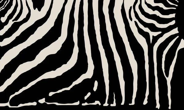 Padrão Impressão Zebra Preta Vetorial Animal Sem Costura Zebra Pele — Vetor de Stock