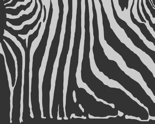 Modèle Impression Vectoriel Zèbre Noir Animal Sans Couture Zebra Skin — Image vectorielle