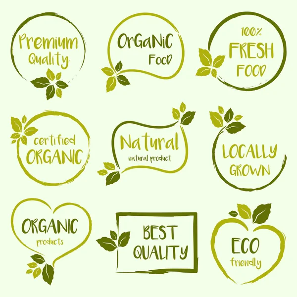 Conjunto Alimentos Orgânicos Alimentos Naturais Logotipos Produtos Vida Saudável Adesivos — Vetor de Stock