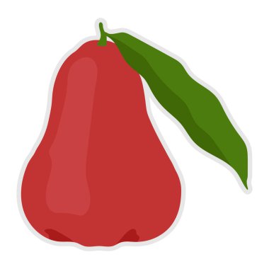 Gül elması soyut tarzı. Doğal tropikal meyveler. Organik meyve ya da vejetaryen gıda.