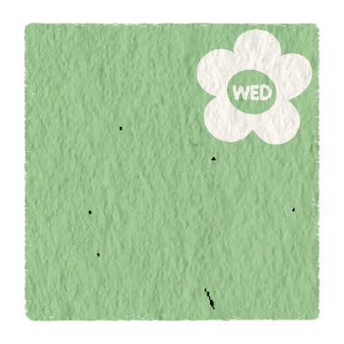 Haftalık not kağıtları, kağıt kağıtları, günlük, yapılacaklar listesi, günlük planlamacı için, çarşamba yeşil kağıt desenli..