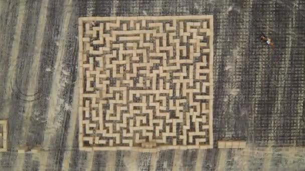 Huge Hay Labyrinth Straw Maze Hay Maze Aerial Bird Eye — Stock Video