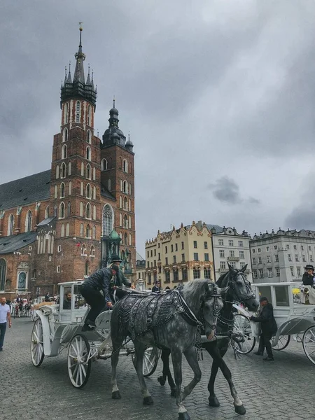 Gdansk Poland 2019 관광객들 가지의 거리를 라우프 벨기움 — 스톡 사진