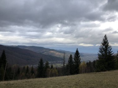 Arkasında dağlar olan güzel bir manzara.