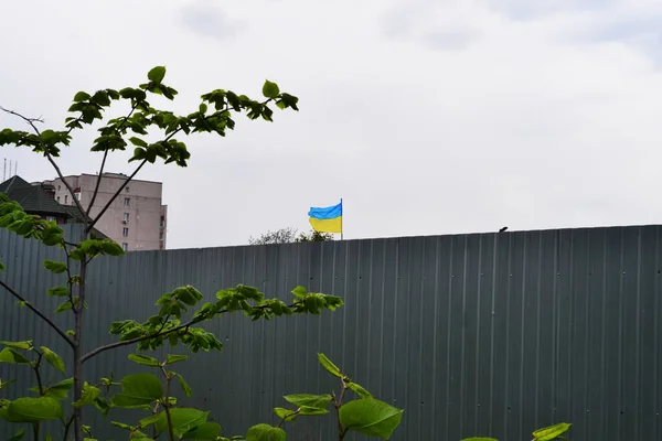 Украинский Флаг Развивается Фоне Серого Неба — стоковое фото