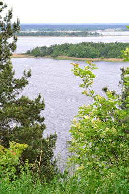 Ağaçların arasından Dnipro Nehri 'ndeki Noel ağaçlarına kadar güzel bir manzara.