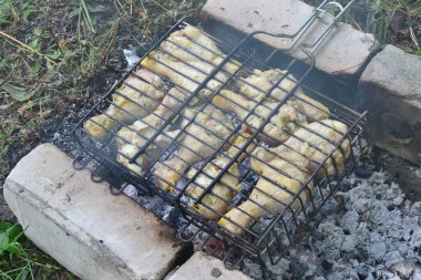 Adamın biri bahçede mangal yaparken et ve sebze pişiriyor.