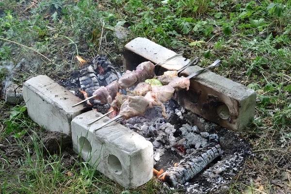Grătar Carne Frigărui Grădină — Fotografie, imagine de stoc
