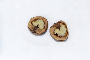 Kırık ceviz beyaz arka planda yatıyor.