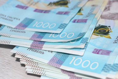 Ukrayna parası masaya saçıldı, binlerce Hryvnias.