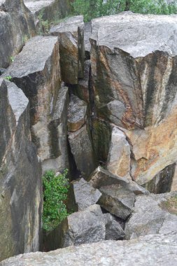 Ormanda büyük ıslak taşlar