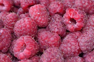 Olgunlaşmış pembe ahududu yakından çek.