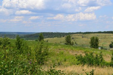 Çiçek açan Ukrayna alanları manzarası