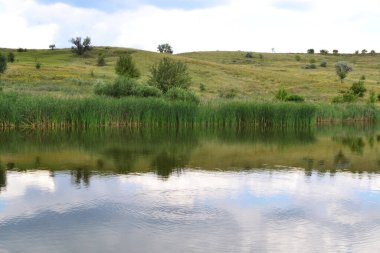 Arazinin ortasında saydam bir göl var.