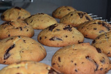 Fırında pişmiş kurabiye.