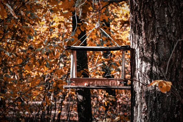 Podavač Podzimním Lese — Stock fotografie