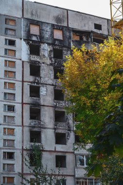 Yıkılan evin yanında bir ağaç çiçek açıyor.