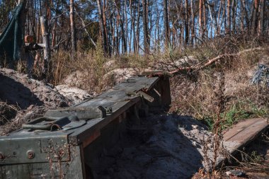Ormanda kabuk kutuları var.