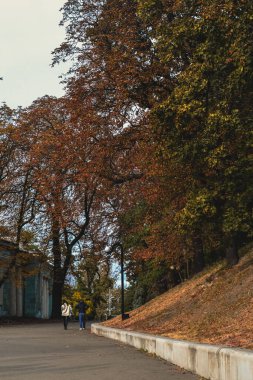 Birbirine aşık bir çift parkta yürüyor.