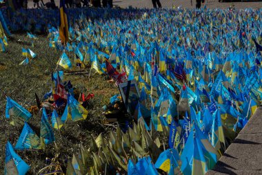 Savaşta ölenlere Ukrayna bayrakları