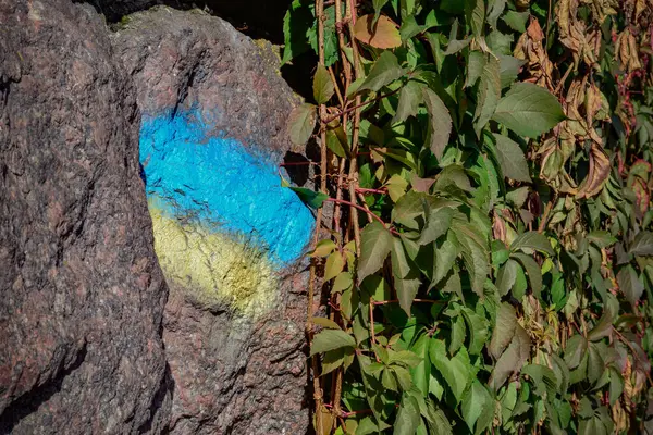 the flag of Ukraine is painted on the stones near the plants