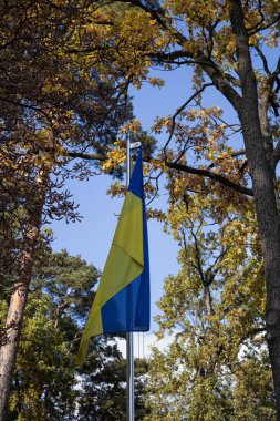 Parkta Ukrayna bayrağı
