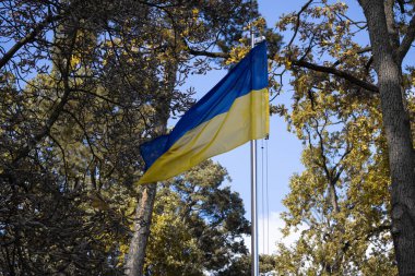Parktaki Ukrayna bayrağı rüzgarı geliştiriyor.