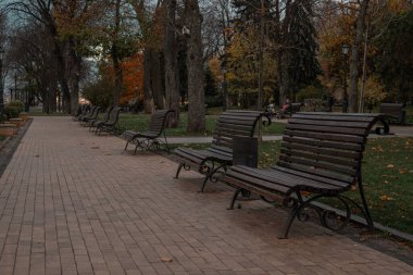 Sonbahar ormanı ve bir sürü bank.