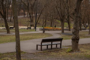 Kharkiv, Ukrayna. - 11 Kasım 2023, Sarzhyn Yar Parkı. İnsanlar sonbahar parkında yürüyorlar.