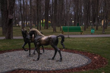 Kharkiv, Ukrayna. - 11 Kasım 2023, Central Park. At heykelleri parkın ortasında duruyor.