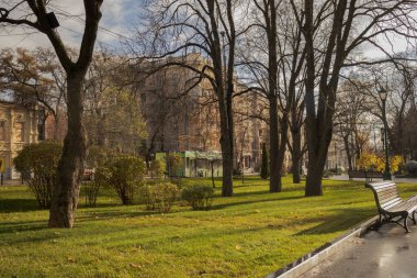 Kharkiv, Ukrayna. - 12 Kasım 2023: Yağmurdan sonra Shevchenko Bahçesi 'nde güneş parlıyor, insanlar yürüyor ve arabalar sürüyor.