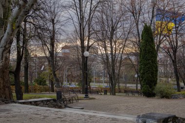 Kharkiv, Ukrayna. - 12 Kasım 2023 yağmurdan sonra büyük bir Ukrayna bayrağı sonbahar parkında görülüyor.