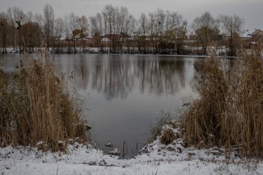 Kyiv, Ukrayna. 23 Kasım 2023: Bir kış gölü ve evler çalıların arasından görülebiliyor