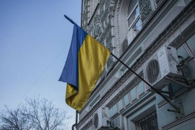 Kyiv, Ukrayna. 28 Kasım 2023. Ukrayna bayrağı ve binaları