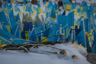 Kyiv, Ukraine. On November 28, 2023, there are many flags of Ukraine to honor those who died in the war. Snow-covered flowers lie near them clipart